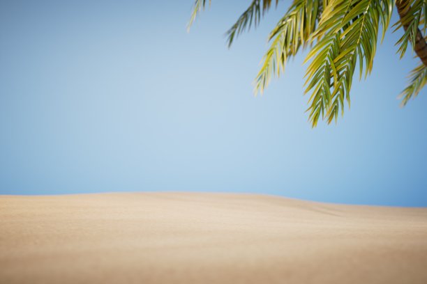 在海滩上度过暑假。有棕榈树的沙滩。复制粘贴，复制空格。三维渲染图片下载