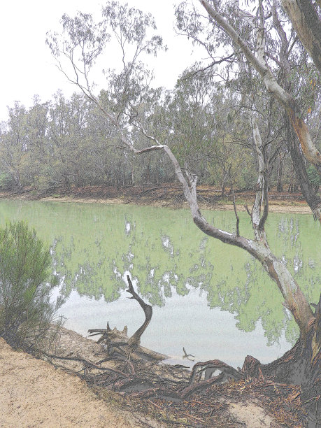 抽象形象，艺术形式中的自然图片下载