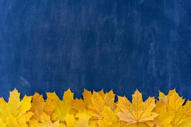 秋叶框架上的蓝色背景俯视图秋叶边界黄色和橙色复古结构表文本复制空间。图片下载