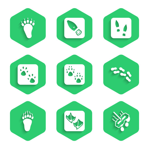 集爪印海鸥爪脚印拖把人类图片下载