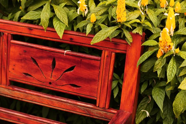 周围有花和叶的木凳图片下载