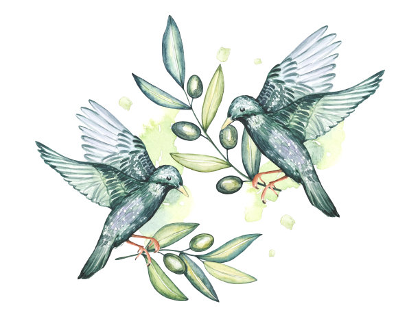 手绘水彩构图与欧椋鸟和橄榄枝图片下载