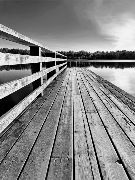 黑白单色透视图像的人行道木码头与扶手一侧在镜子光滑的池塘水面和树线在地平线上图片下载