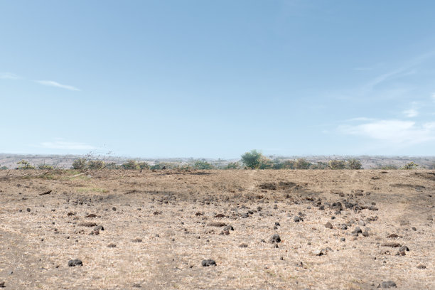 干旱区域图片下载