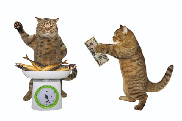 凯特想买烟熏鲭鱼图片下载