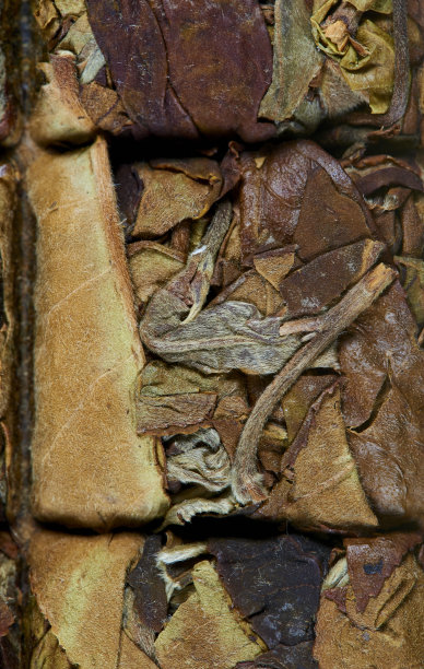 用普洱茶冲泡而成。前视图。图片下载