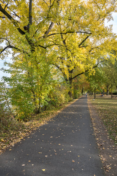 德国法兰克福的Osthafen公园图片下载