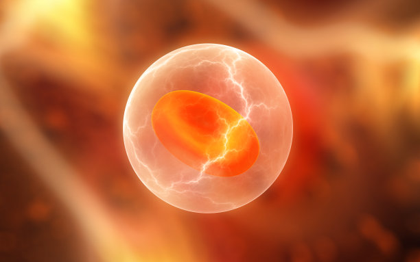 纳米合成膜红细胞图片下载