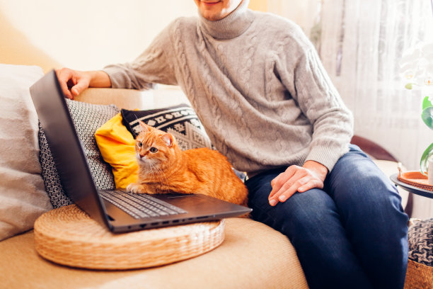 在家和猫一起玩电脑放松。一名男子坐在沙发上看屏幕，在笔记本电脑上播放姜宠物电影图片下载