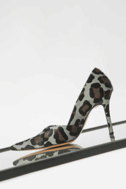 豹纹小牛头发泵，工作室拍摄与反射。经典的动物印花高跟鞋与尖锐的尖头。图片下载