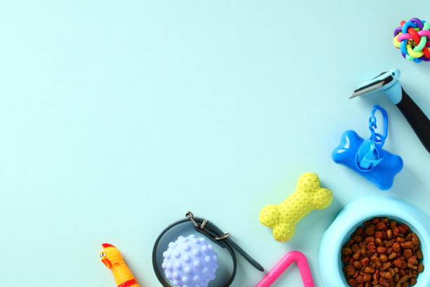 宠物护理和训练理念。狗或猫玩具和干食物在碗上的蓝色背景，俯视图图片下载