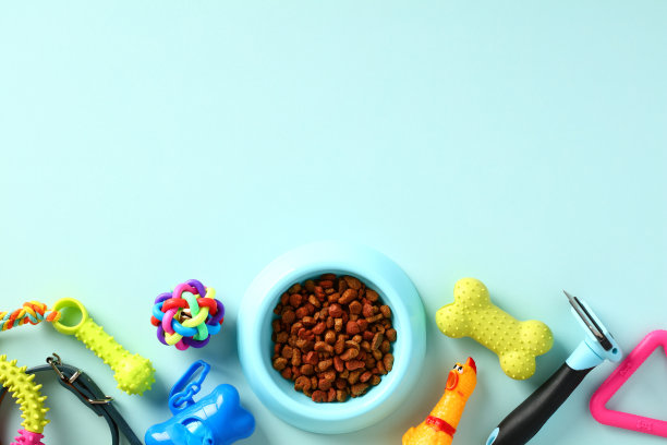蓝色背景的宠物配件和玩具。平铺，俯视图图片下载