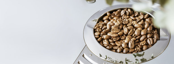 咖啡横幅与天然烘焙咖啡豆在豆斗与复制空间图片下载