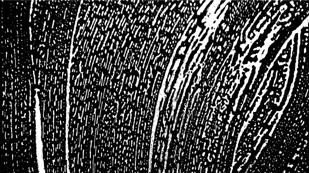 背景与黑色和白色肥皂污渍图片下载