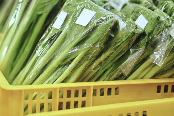 新鲜收获的塑料叶蔬菜图片下载