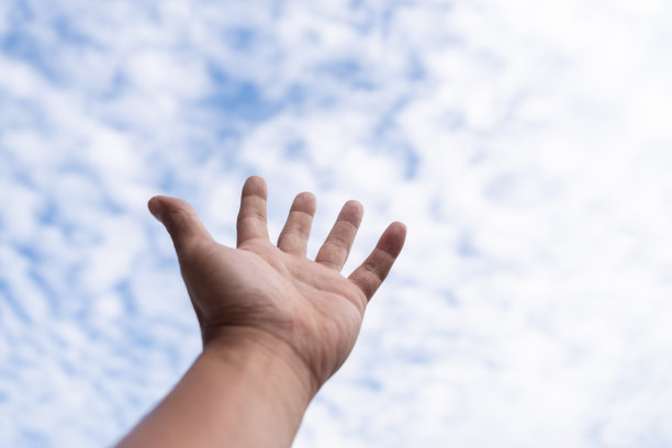 伸向天空图片下载