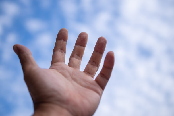 伸向天空图片下载