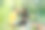 父亲教小女儿关心生态温室的有机植物，可持续的生活方式。图片下载