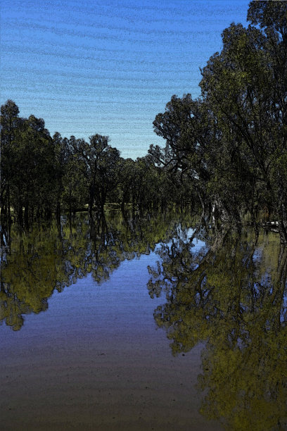 抽象形象，艺术形式中的自然图片下载