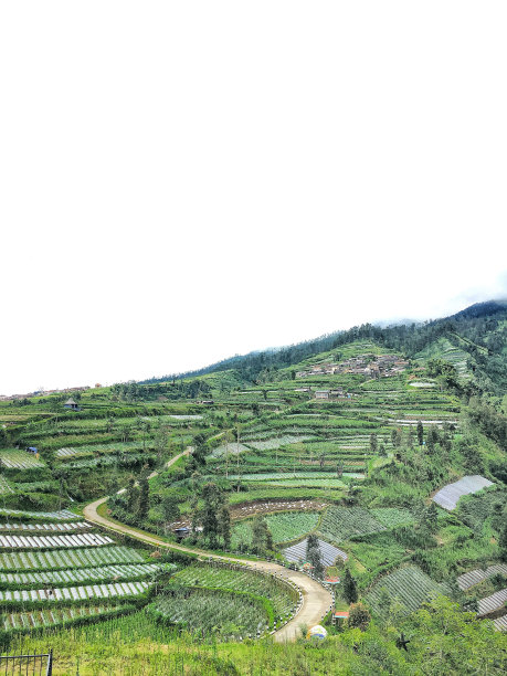 Merbabu山脚的农业梯田图片下载