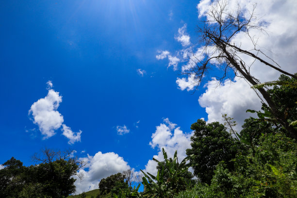 山路
蓝云背景图片下载