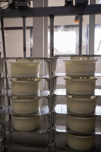 法国奶牛场用特殊形式压制的年轻奶酪。奶酪制作过程:奶酪制作过程的一部分图片下载