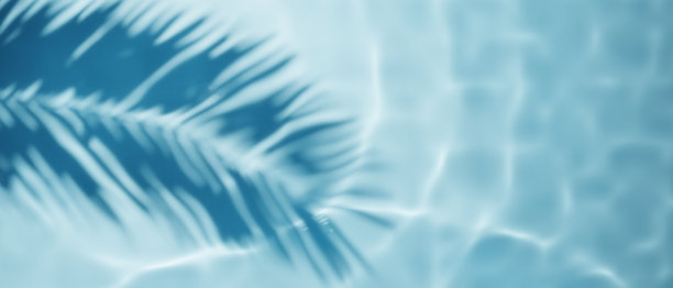 水波和椰子棕榈阴影背景。池水质感。图片下载