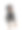 罗特韦尔犬在工作室图片下载