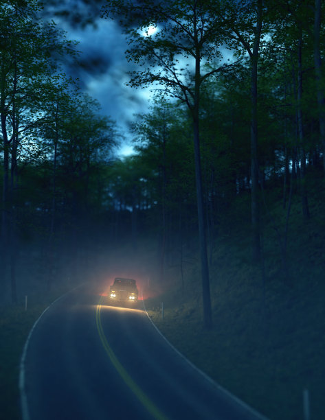 黎明时分，一辆敞篷小卡车开在雾气蒙蒙的森林里。3 d渲染。图片下载