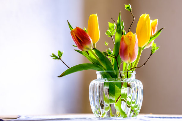 旧窗边的花图片下载