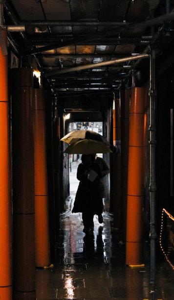 避难所图片下载