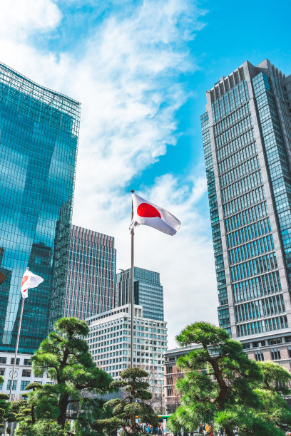 日本国旗在丸之内飘扬，东京图片下载