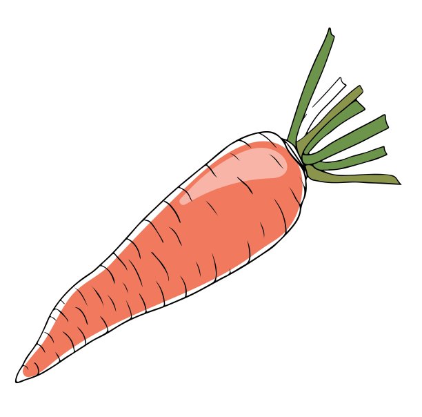 矢量线艺术风格橙色胡萝卜与绿色植物隔离在白色背景图片下载