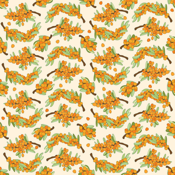 沙棘浆果和叶子。矢量轮廓绘制插图无缝模式图片下载