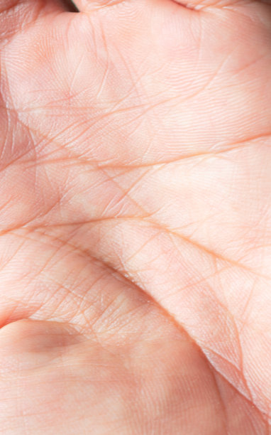 人体手掌皮肤纹理微距图像，人体手掌表面纹理微距图像，人体皮肤纹理与皱纹特写，手部特写图片下载