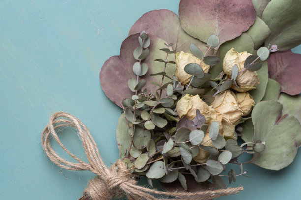 一束干花图片下载