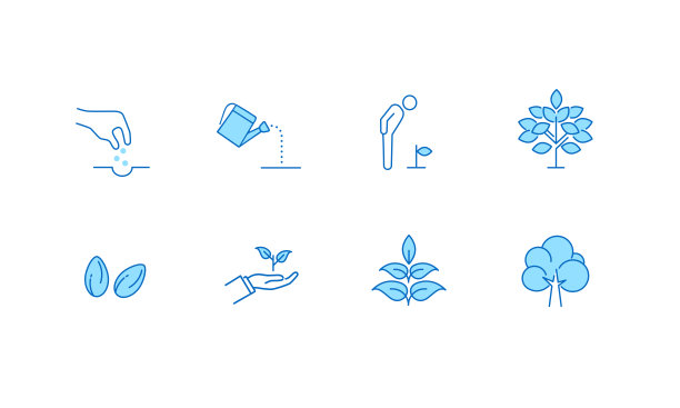 过程图标集从播种到生长，简单的线图标，矢量图片下载
