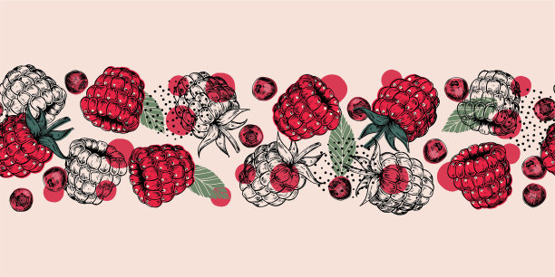 无缝覆盆子边界设计矢量插图。图片下载
