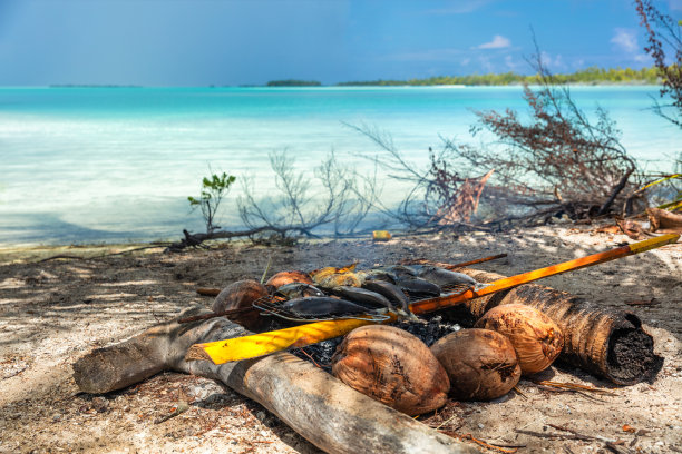波利尼西亚鱼烧烤海滩上的传统法属波利尼西亚食物-旅游活动游览法属波利尼西亚塔希提岛的法卡拉瓦。椰子炭和棕榈木烤鱼。图片下载