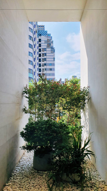 优雅的高空花园设计，巨大的绿色植物和水泥盆栽景观，以城市和建筑为背景图片下载