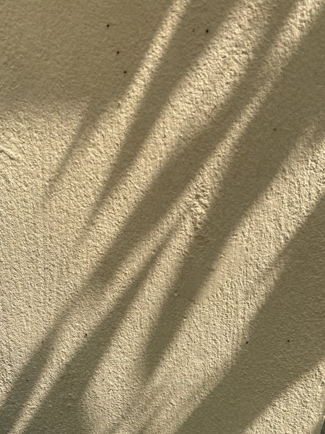 树叶阴影背景在混凝土墙的纹理，树叶树枝阴影与阳光图片下载