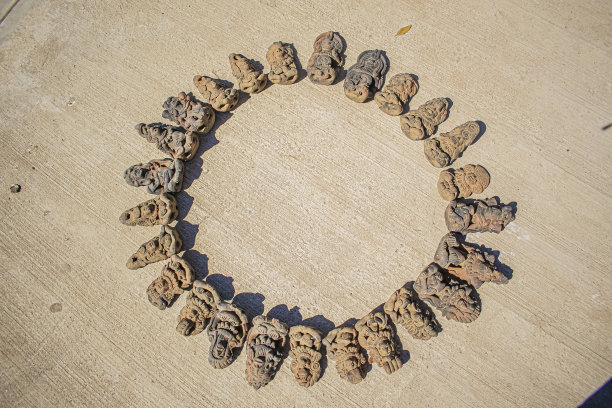 带有数字的玛雅符号图片下载