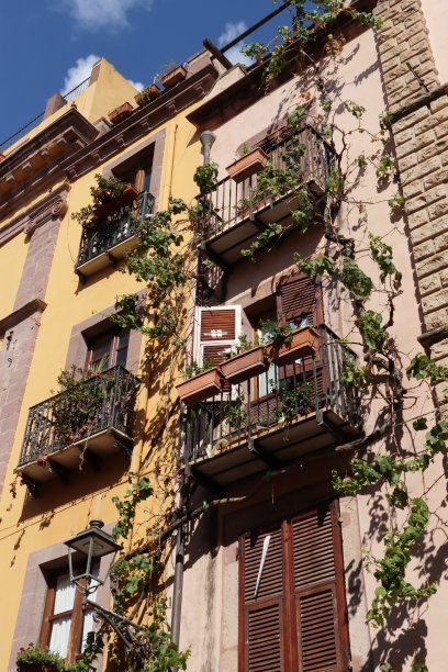 阳光明媚的黄色建筑立面与植物和常春藤。它有木质百叶窗和黑色锻铁阳台。图片下载