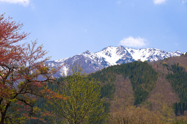 日本中部岐阜白川乡的城市景观。图片下载