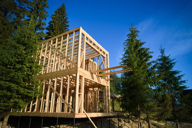 森林附近正在建造的木结构房屋。图片下载