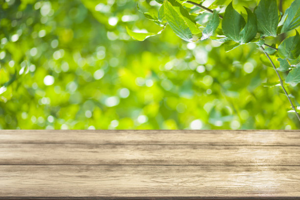 木桌与森林散景背景图片下载