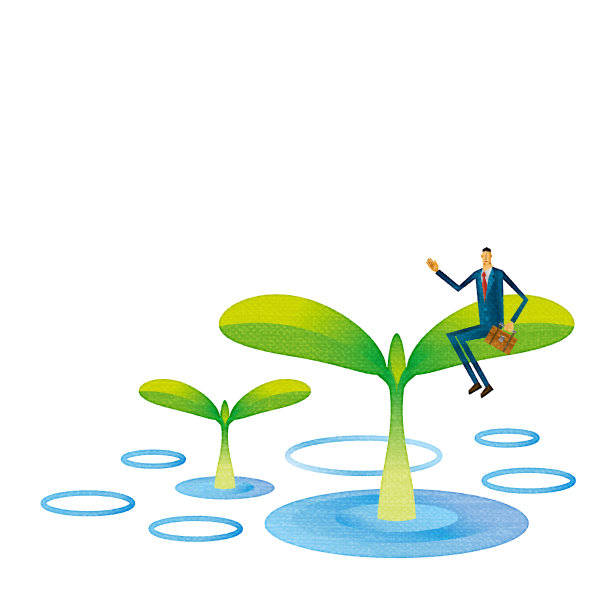 雨与植物图片下载