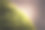 苔藓特写图片下载