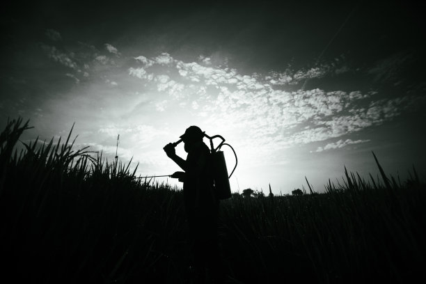 农夫在田里图片下载