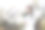 一名女大学生在春天入口处的樱花树前开心地笑着图片下载